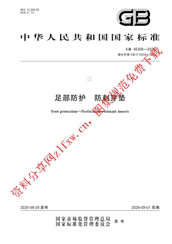 GB 46308-2025_足部防护 防刺穿垫.pdf