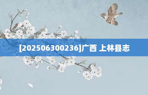 [202506300236]广西 上林县志